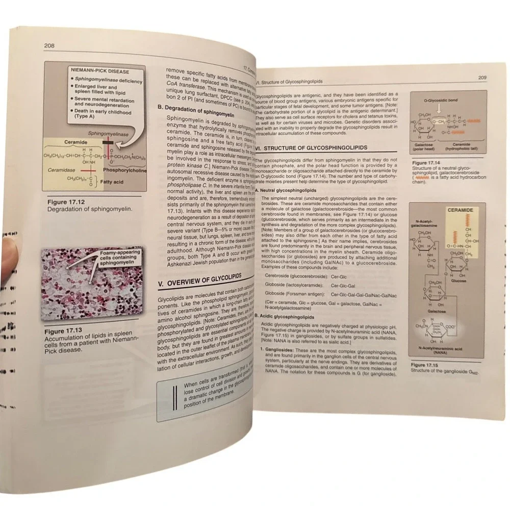 Lippincotts Illustrated Reviews Biochemistry 4th Edition‎ Medical Textbook